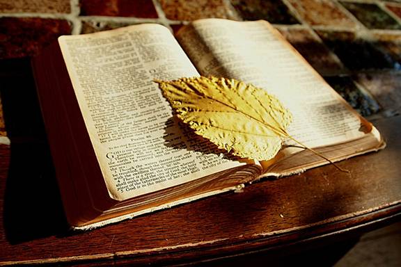 https://9marks-static.oss-cn-hongkong.aliyuncs.com/wp/2014/12/bible-1166260_960_720.jpg