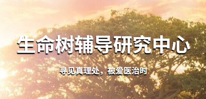 smsfudao